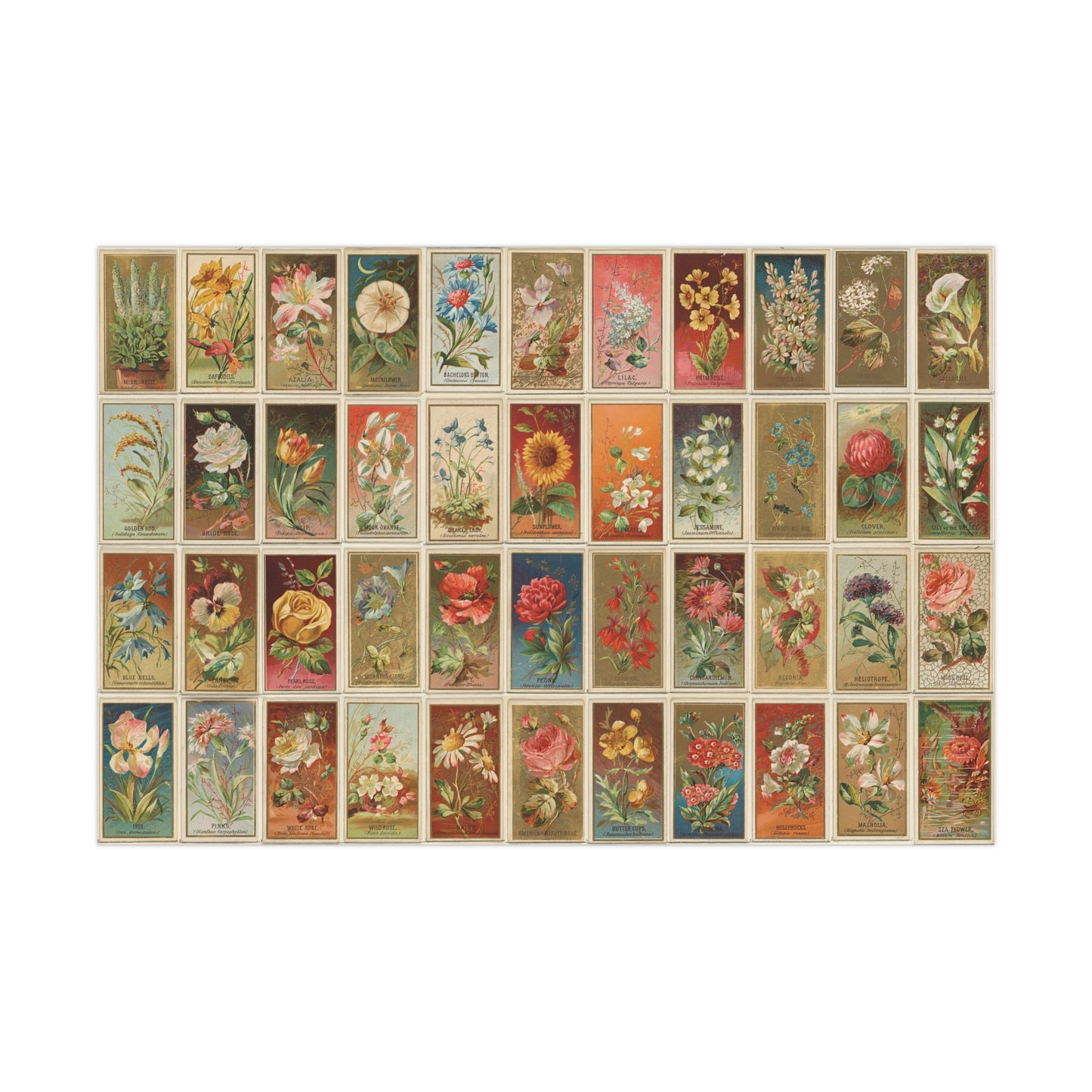 Victorian Garden Florals 30 x 20 Inch