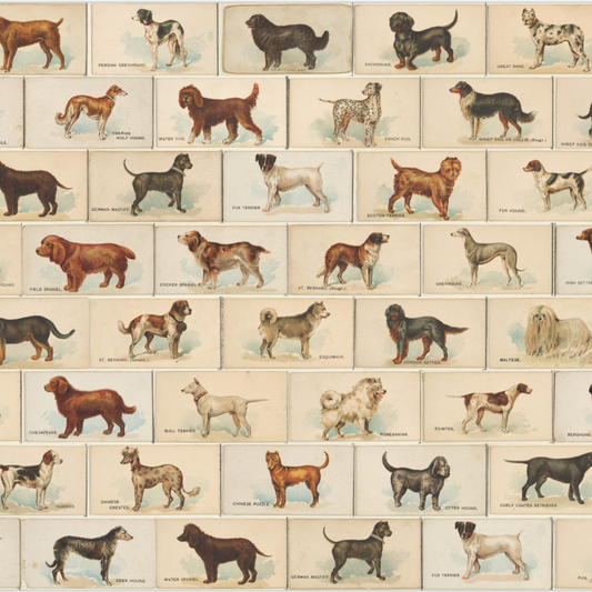 Victorian Dog Breeds Square
